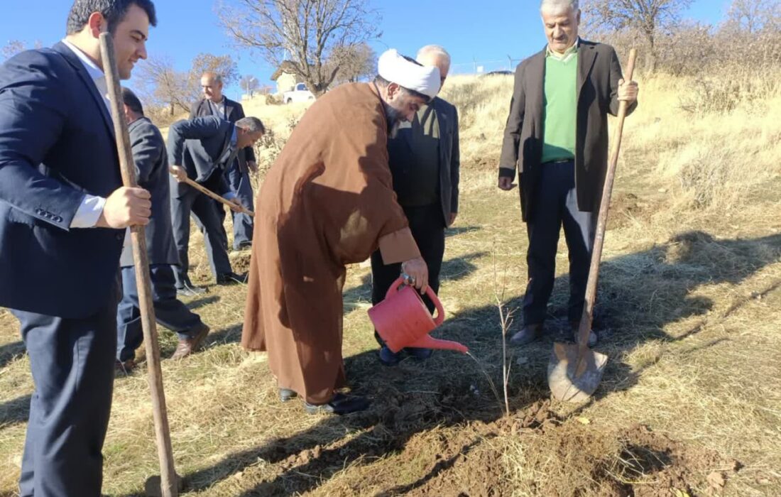 اعلام آغاز رسمی طرح مردمی کاشت یک میلیارد درخت در ۱۱ آذر